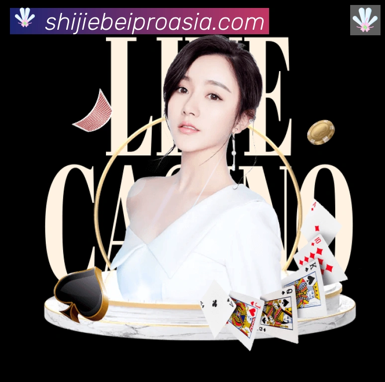 世界杯数据官方网站荣誉